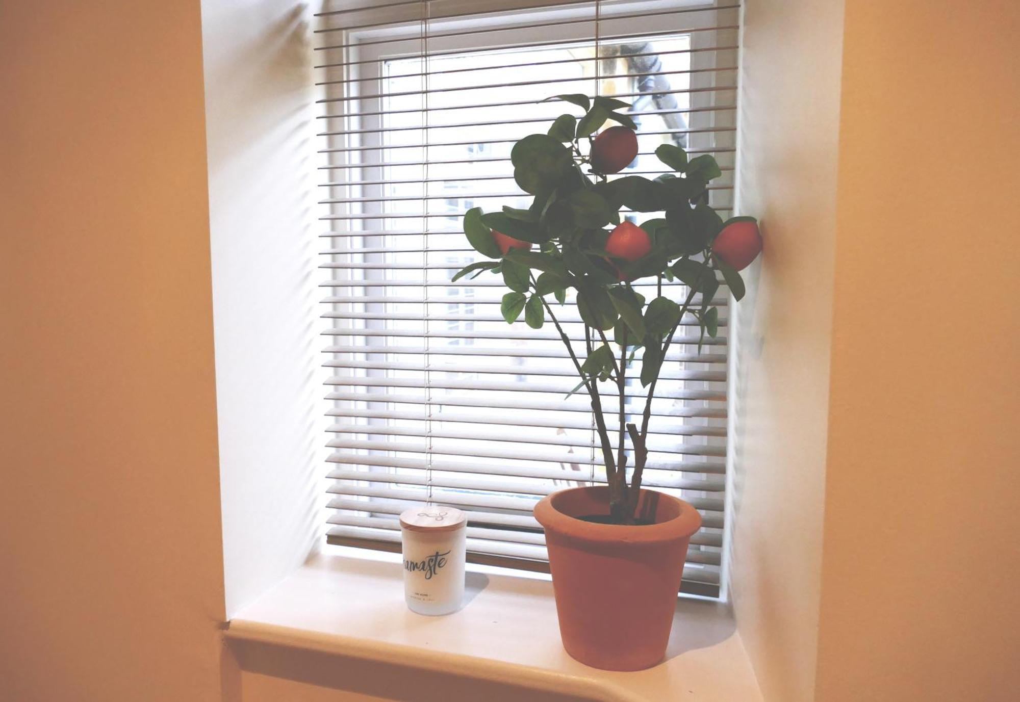 Immaculate 1-Bed Cottage In Moreton In Marsh Exteriör bild